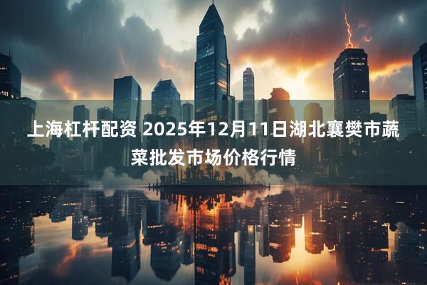 上海杠杆配资 2025年12月11日湖北襄樊市蔬菜批发市场价格行情