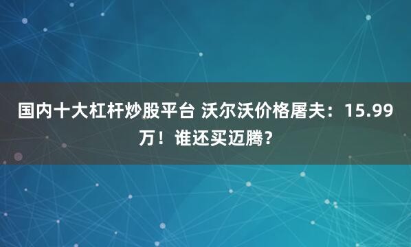 国内十大杠杆炒股平台 沃尔沃价格屠夫：15.99万！谁还买迈腾？