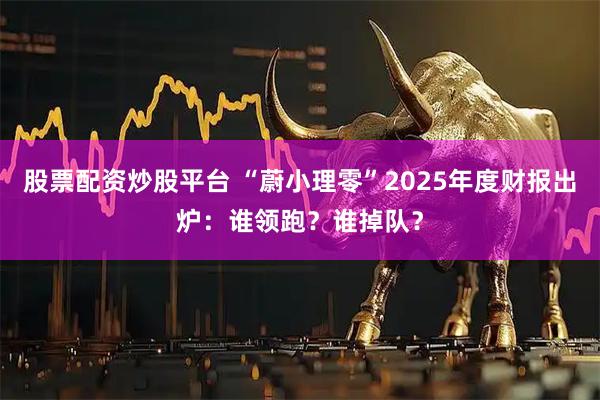 股票配资炒股平台 “蔚小理零”2025年度财报出炉：谁领跑？谁掉队？