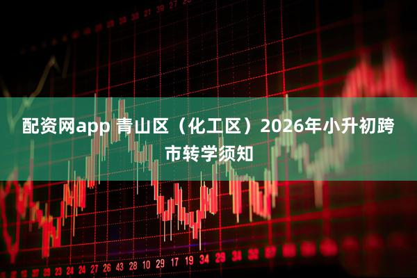 配资网app 青山区（化工区）2026年小升初跨市转学须知